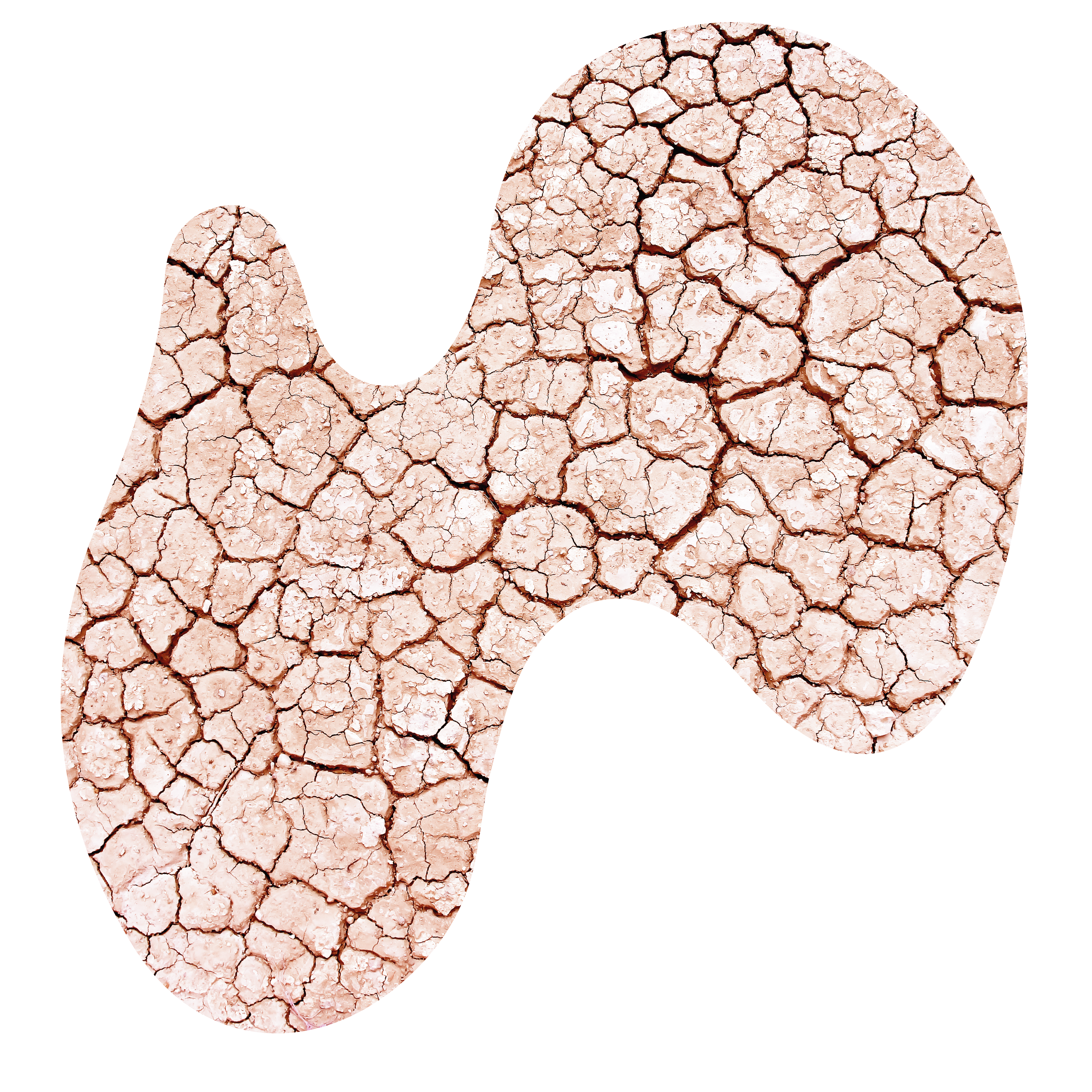 FIDERMA_MASK_PH-02